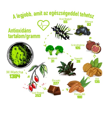 https://mmatcha.hu/blogs/news/a-matcha-tea-jotekony-hatasai?srsltid=AfmBOoofHavu259NOgICrv9kNoTCaRvuc0BAWwJTXRIwQcsQdp0rmpxD